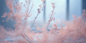 这个人就是妈究竟是哪首歌？