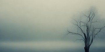 为什么有人听了很伤心的歌？