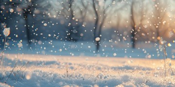 雪容融是什么歌？