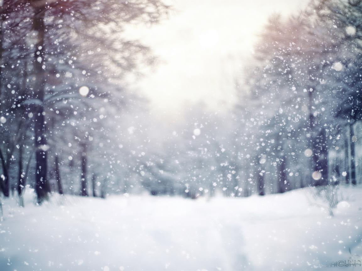 雪下的时候这首歌究竟表达了什么意思？
