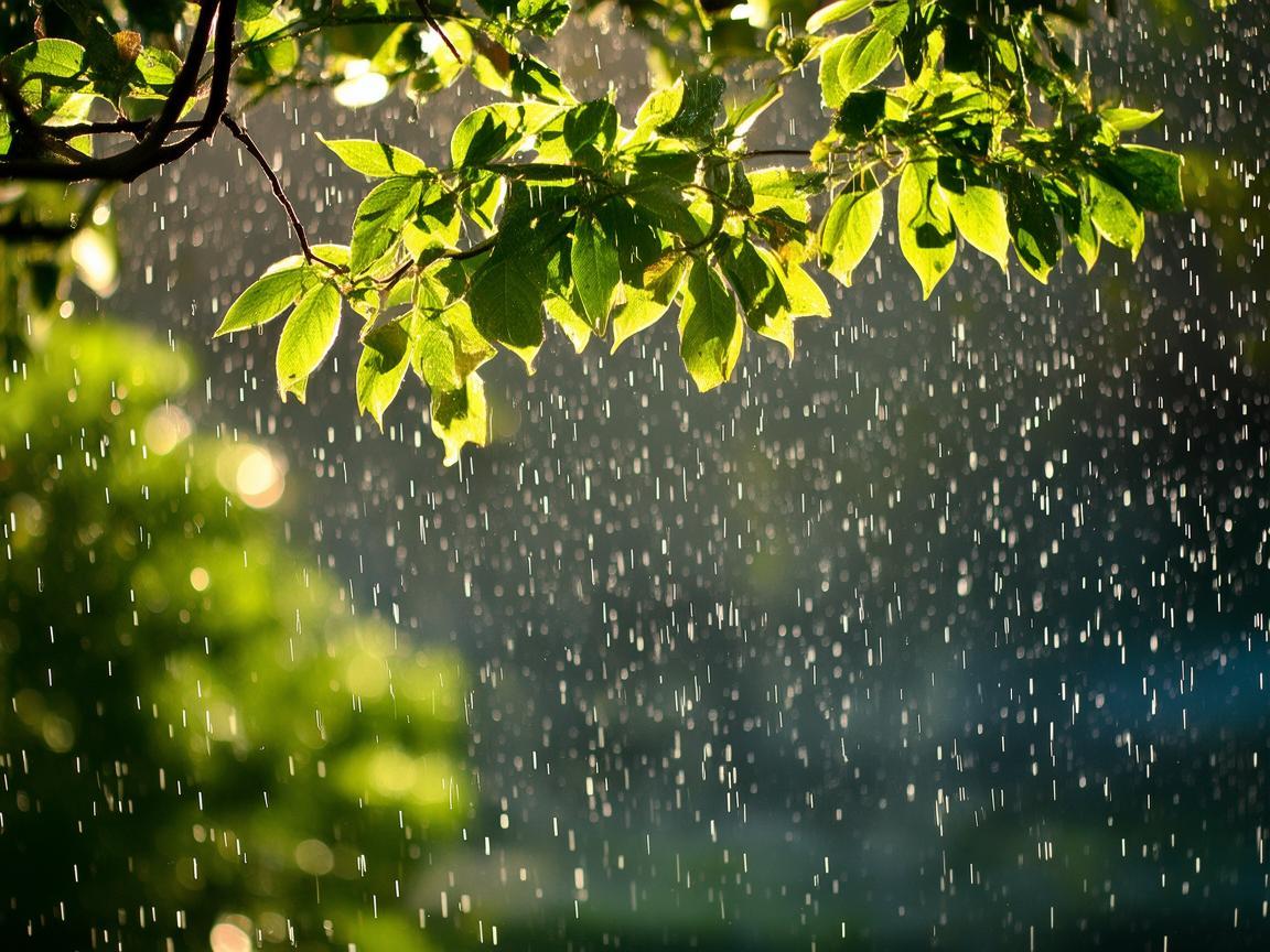下点小雨就凉快啦究竟是哪首歌？